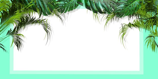 drzewo palma roślina liść kwiat las środowisko naturalne botanika organiczny biały kolor makieta pusty symbol udekorować lato wiosna sezon czas plaża moda styl życia szczęśliwy wakacje wakacje3d render