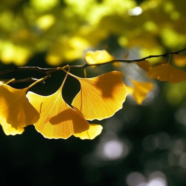 Zdjęcie drzewo wyłożone drogą z żółtymi liśćmi na ziemi