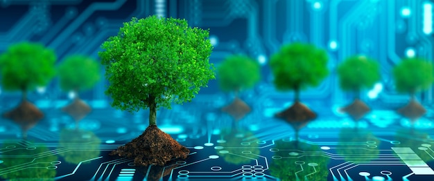 Drzewo z glebą rosnącą w punkcie zbieżnym płytki drukowanej komputera Niebieskie światło i tło sieci szkieletowej Green Computing Green Technology Green IT csr and IT ethics Concept