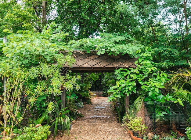 Drzwi wejściowe z tropikalną rośliną i ścieżką na podwórku