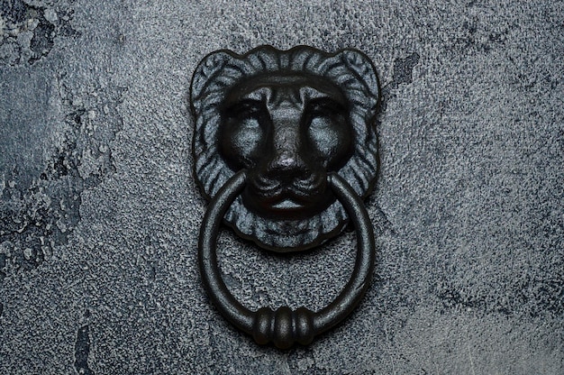 Zdjęcie drzwiak lew z pierścieniem w zębach