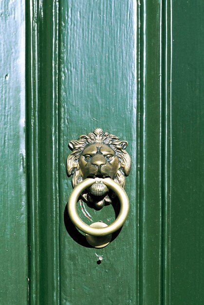 Zdjęcie drzwiak na zielonych drewnianych drzwiach
