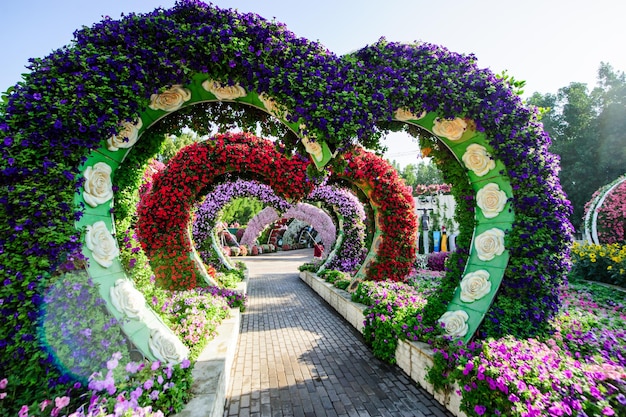 DUBAJ ZEA MARZEC 28 Dubai Miracle Garden w Zjednoczonych Emiratach Arabskich 16 lutego 2022 r. Ma ponad 45 milionów kwiatów