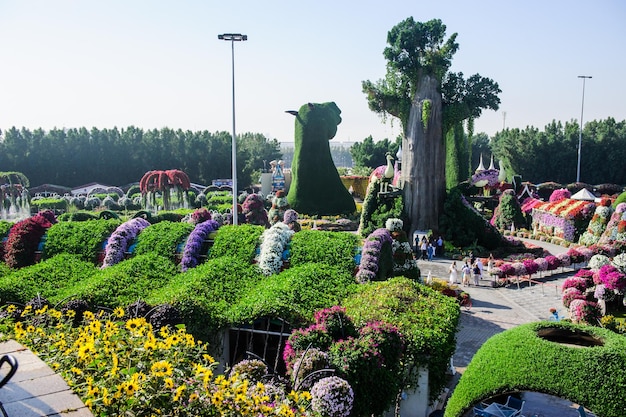 Dubaj Zea Marzec 28 Dubai Miracle Garden W Zjednoczonych Emiratach Arabskich 16 Lutego 2022 R. Ma Ponad 45 Milionów Kwiatów