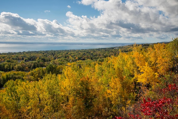 Duluth Minnesota Piękne jesienne kolory w Superior National Forest