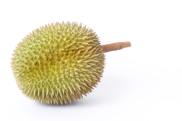 Durian Jako Król Owoców W Tajlandii. Ma Silny Zapach I Skórkę Pokrytą Cierniami.