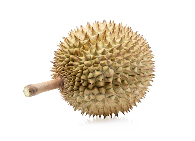 Durian na białym tle na białym tle