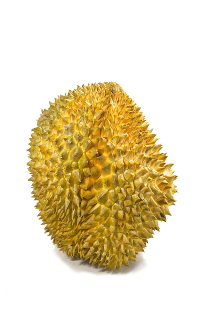 Durian na białym tle