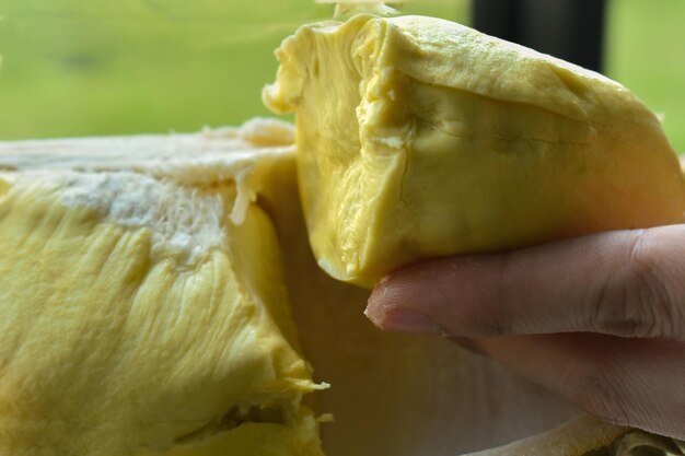 Durian owoców