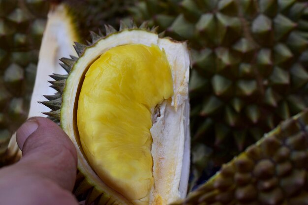 Durian owoców