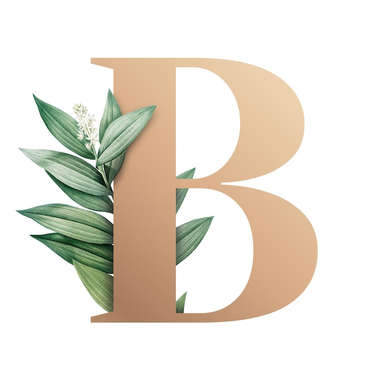 Zdjęcie duża litera botaniczna b przezroczysty png