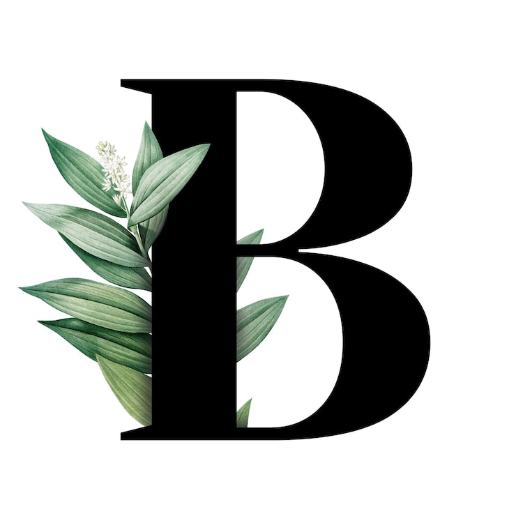 Zdjęcie duża litera botaniczna b przezroczysty png