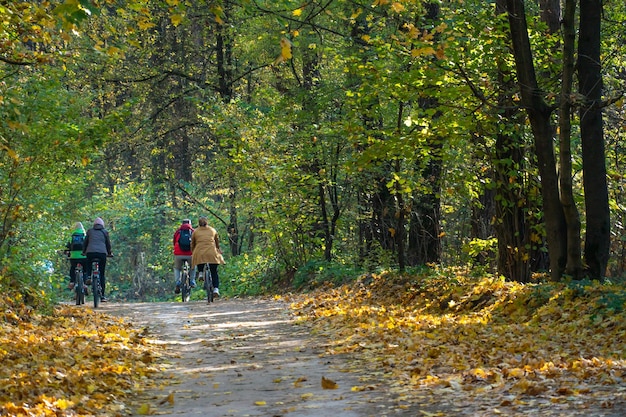 Duża rodzina jeździ na rowerach po cichych ścieżkach w jesiennym lesie Spędzać czas z rodziną jeździć na rowerze w ekologicznie czystych miejscach Jesienny las i kolorowe liście