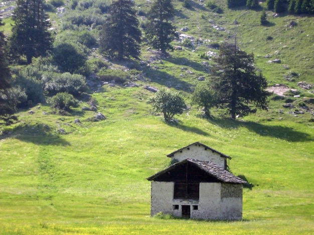 Duża stara drewniana stodoła na tle zielonego trawnika we wsi