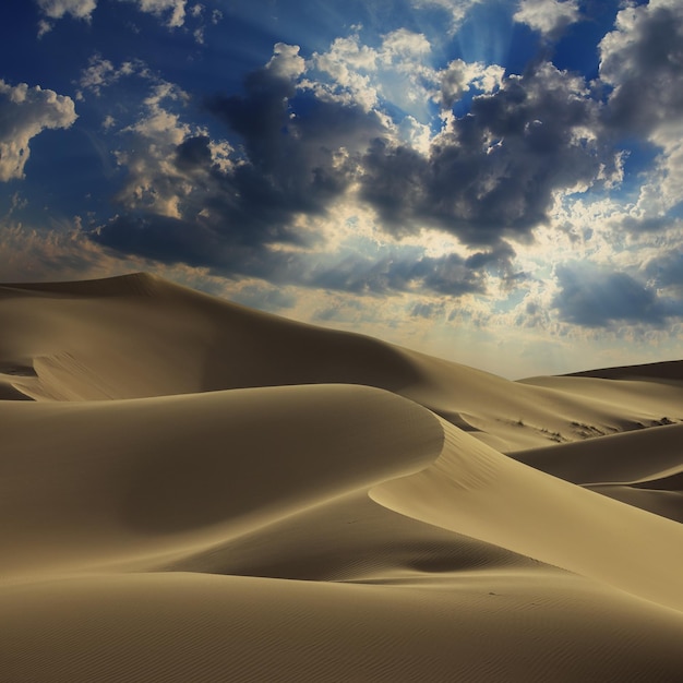 Duża wydma na Saharze