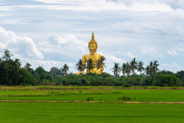 Duża Złota Buddha statua przy buddyjską świątynią