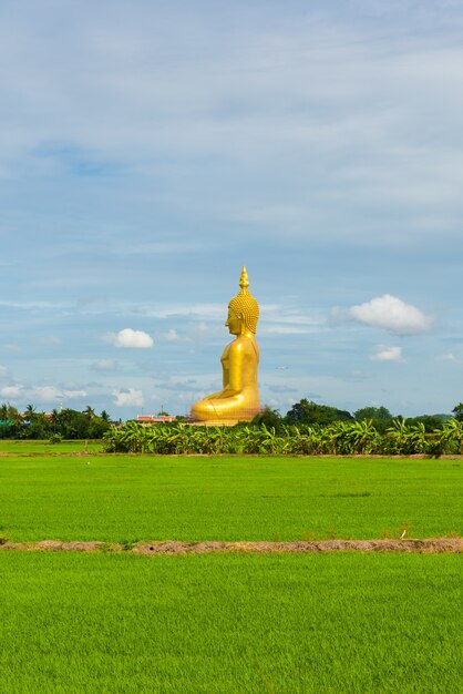 Duża Złota Buddha statua przy Wata Muang Angthong Świątynną prowincją