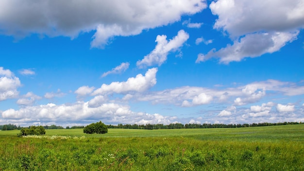 Duże cumulusy nad rolniczą łąką w słoneczny letni dzień