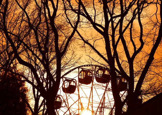 Zdjęcie duże koło na tle zachodu słońca w parku
