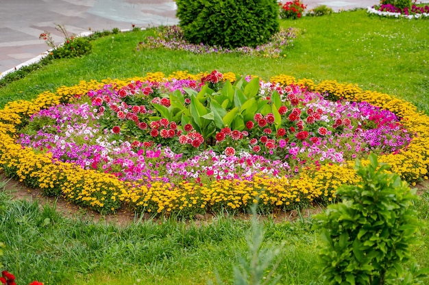 Duże okrągłe łóżko ogrodowe z pejzażem kwitnących rododendronów, iglaków karłowatych i ścieżek spacerowych. Piękne zdjęcie kwitnącego wiosną ogrodu i podwórka wiejskiego domu.