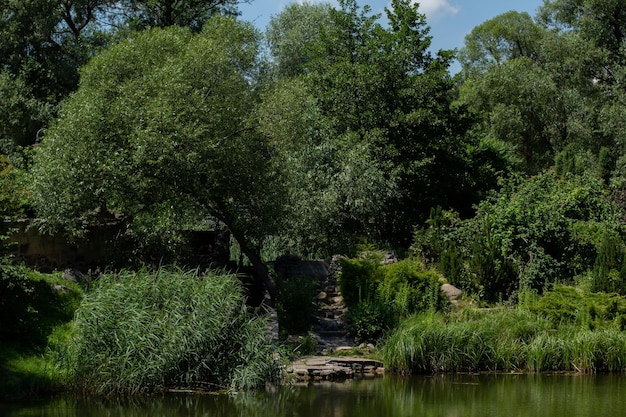 Duże piękne jezioro z zielonym krajobrazem