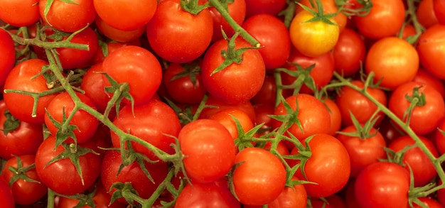 Dużo Czerwonych Pomidorów, Tekstura Tło. Kupie Wzór świeżych Dojrzałych Pomidorków Koktajlowych, Wysokiej Jakości Zdjęcie