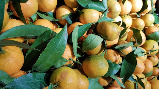 Dużo świeżych żółtych mandarynek z zielonymi liśćmi na rynku, tło owoców. Obraz sztuki z zielonymi liśćmi. Koncepcja zdrowego odżywiania. Może służyć jako miejsce na tekst.
