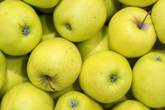 Dużo żółtych jabłek. Stan naturalny. Widok z góry jako tło.