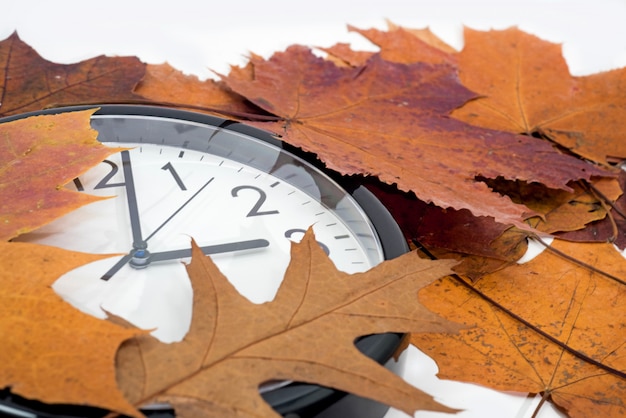 Zdjęcie duży czarny zegar z jesiennych liści.