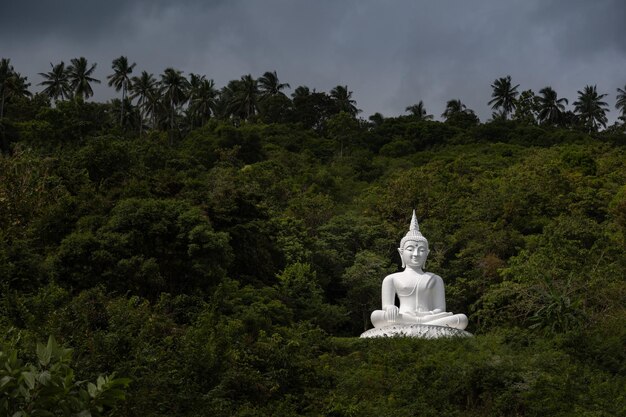 Duży, jasny, biały posąg Buddy na zboczu góry porośniętym gęstym lasem deszczowym Samui Tajlandia