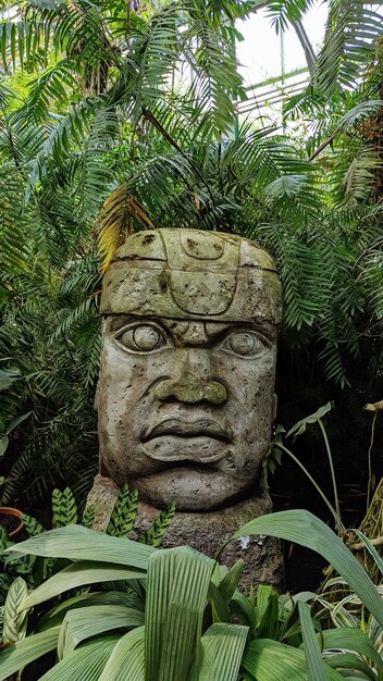 Zdjęcie duży kamienny posąg w zielonej dżungli