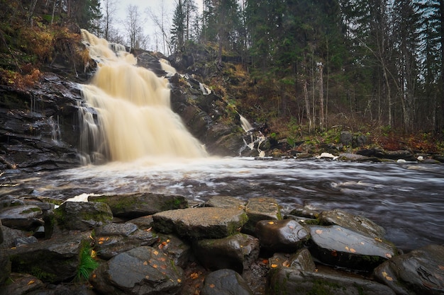 Duży malowniczy wodospad w jesiennym lesie Karelia Rosja