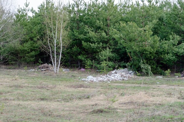 Zdjęcie duży stos śmieci na tle lasu problemy środowiskowe z plastikiem i śmieciami w lesie