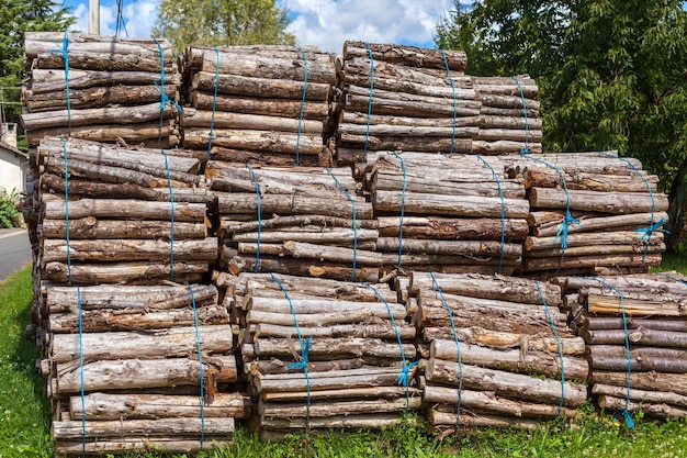 Duży stos wiązek kłód drewna na wiejskim tle