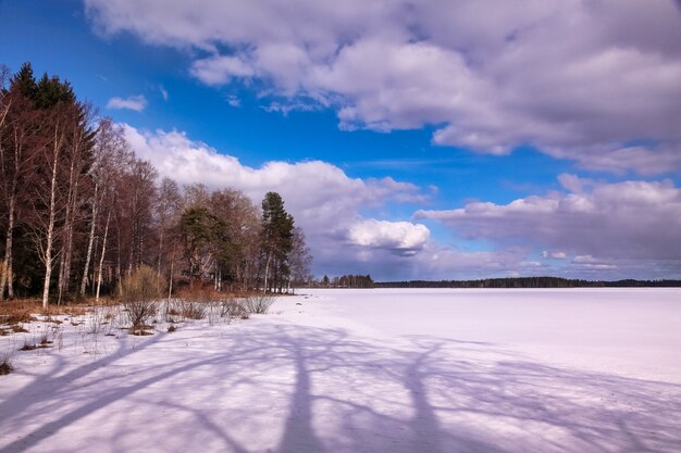 Duży widok obrazu zimowego lasu lodowego jeziora. Panoramiczny krajobraz z ośnieżonymi drzewami, błękitne niebo z chmurami, niesamowite zamarznięte jezioro z lodowatą wodą. Tło sezonowej zimy pochmurno chłodną pogodę. Skopiuj miejsce