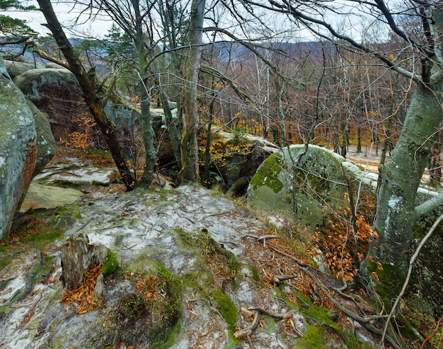 Duży, wyniosły kamień w jesiennym lesie ("Skeli Dovbusha", obwód iwano-frankowski, Ukraina)