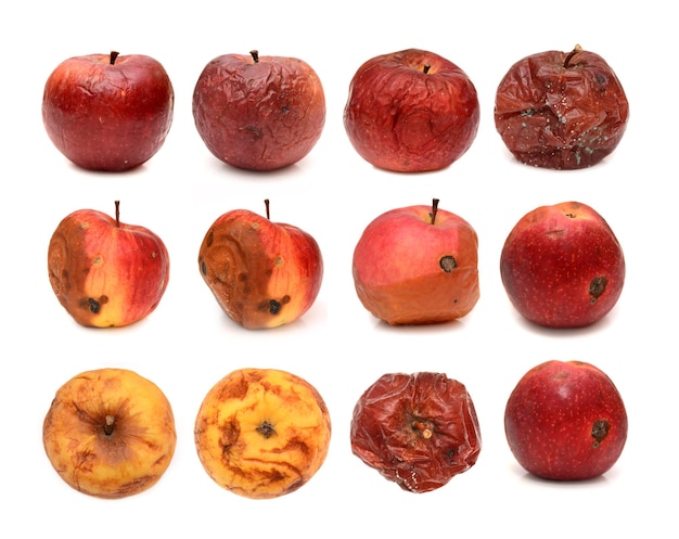Duży zestaw różnych zgniłych jabłek na białym tle