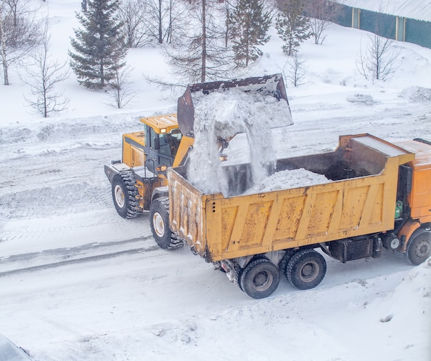 Duży żółty traktor usuwa śnieg z drogi i ładuje go do ciężarówki. Czyszczenie i czyszczenie dróg w mieście ze śniegu zimą