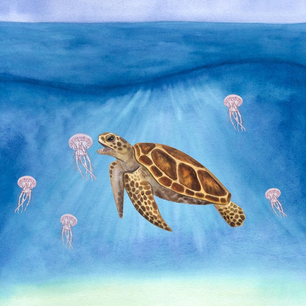 Duży żółw morski meduzy Loggerhead Caretta malarstwo akwarela ilustracja Podwodne tło