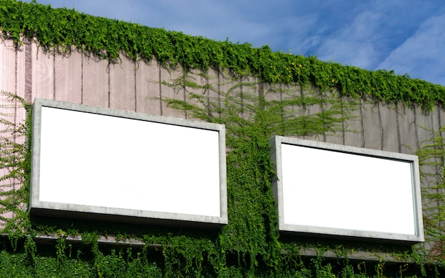 Dwa biały billboard na wiosny lata zieleni liściach