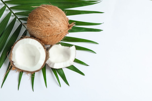 Dwa kokosowe, z których jeden podzielony z gałęzi palmy na białym