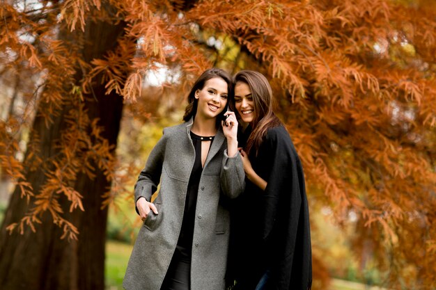 Dwa ładnej młodej kobiety używa telefon komórkowego w jesień lesie