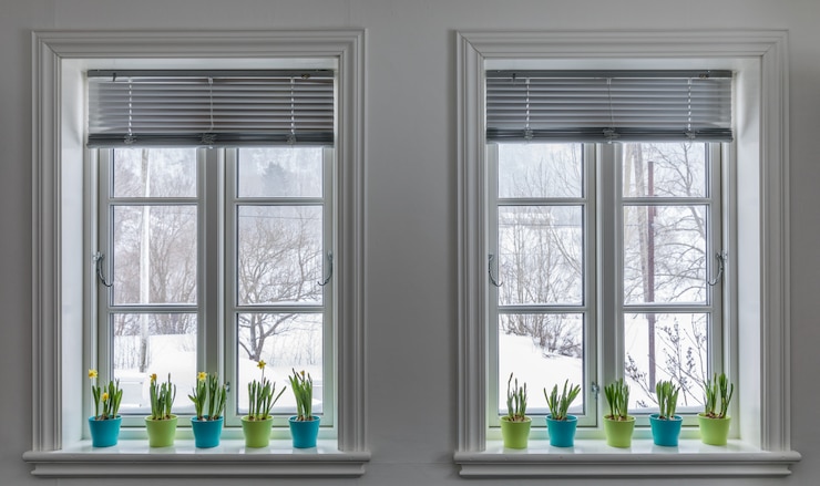 Zdjęcie dwa okna ozdobione kolorowymi doniczkami dwarf daffodils, narcissus. wiosna ze śniegiem na zewnątrz.