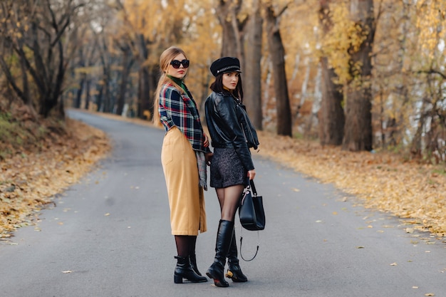 Dwa przytulnej uśmiechniętej młodej dziewczyny chodzą przy jesień parka drogą