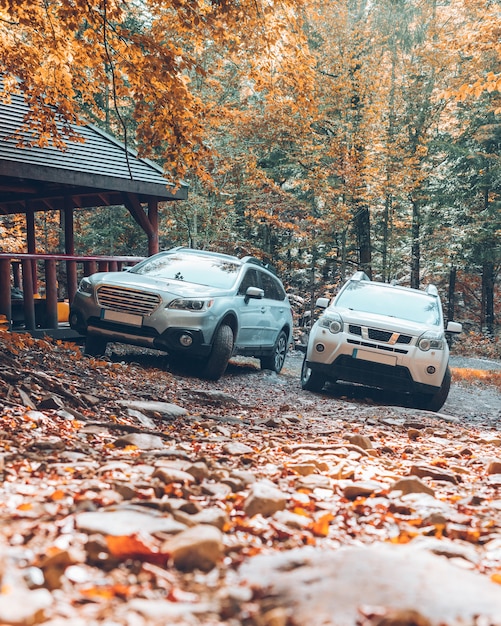 Dwa samochody typu suv w jesiennej leśnej przestrzeni kopii