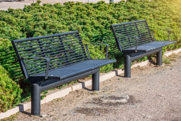Dwie czarne metalowe ławki na chodniku z zielonymi krzakami sosnowymi