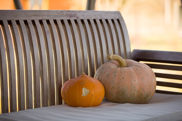 Zdjęcie dwie organiczne dynie na drewnianej ławce w ogrodzie przygotowanym na halloween