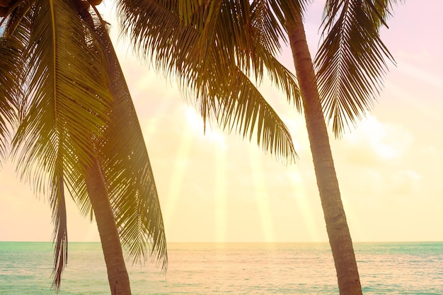 Dwie palmy nad brzegiem morza z promieniami słońca tropikalny krajobraz Podróże i turystyka Nieostrość