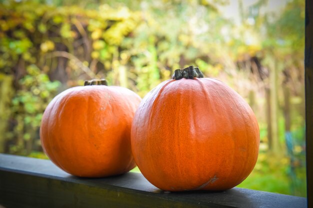 Dwie pomarańczowe dynie na tle jesieni fot halloween