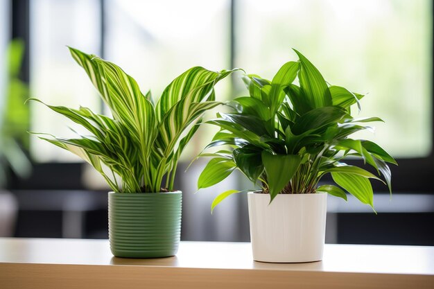 Dwie rośliny biurowe dotykające liści w przestrzeni roboczej stworzonej za pomocą generatywnej AI